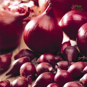 Sīksīpoli Rudenim - ELECTRIC (sarkani)                     