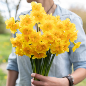 Narcise - SLICE OF LIFE